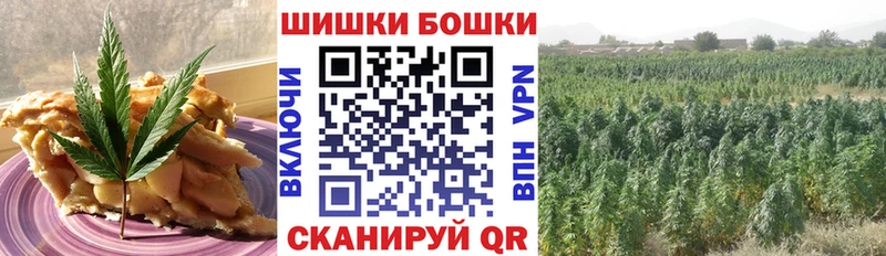 Купить Кимовск Canna-Cookies конопля