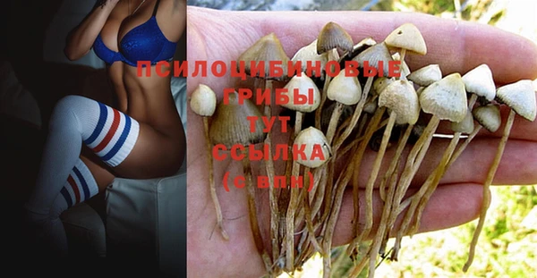 PSILOCYBIN Алексеевка